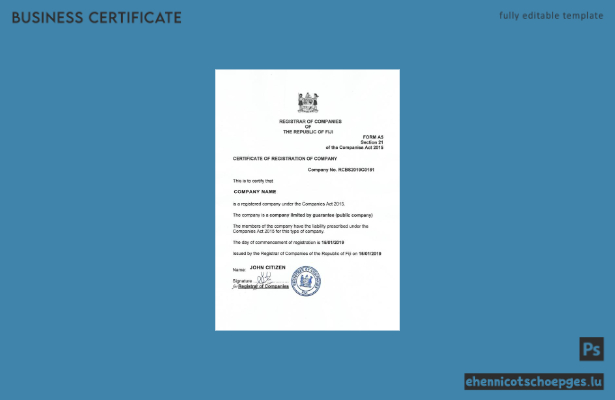 Beispielansicht eines Registrierungszertifikats von Fidschi